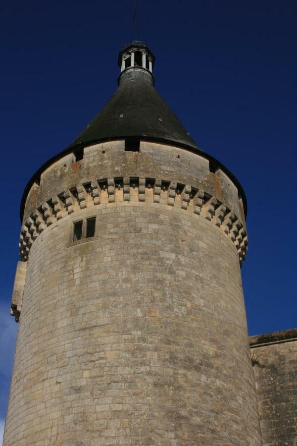 Quai Souchet Villa Libourne Kültér fotó
